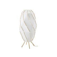 Floor lamp with LED bulb